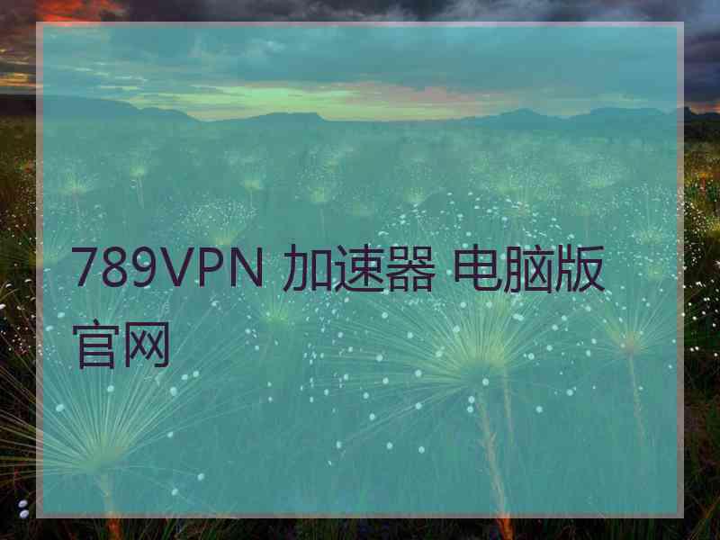 789VPN 加速器 电脑版 官网