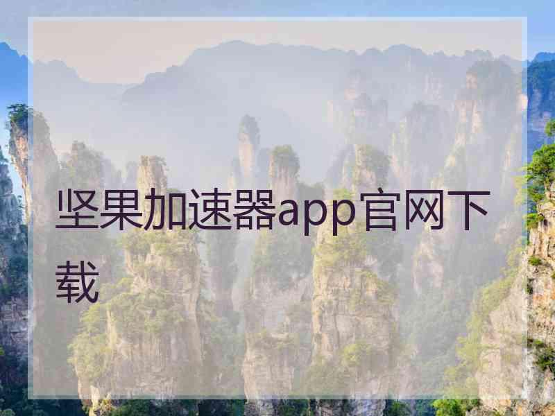 坚果加速器app官网下载