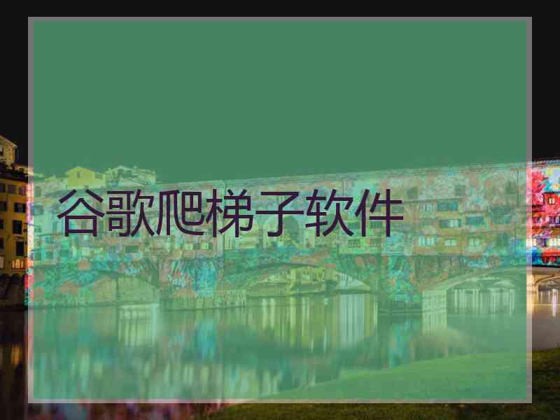 谷歌爬梯子软件
