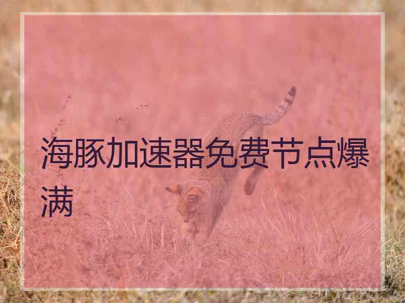 海豚加速器免费节点爆满