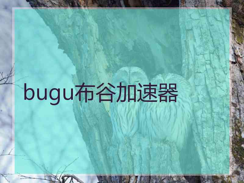 bugu布谷加速器