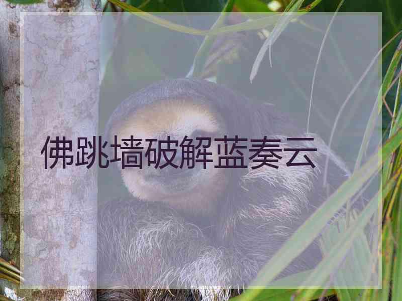 佛跳墙破解蓝奏云