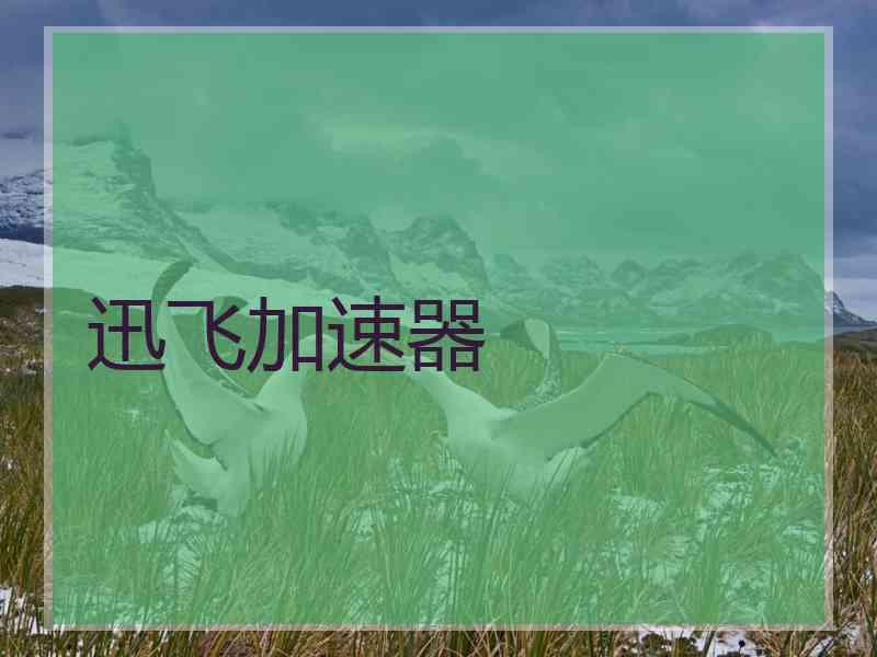 迅飞加速器