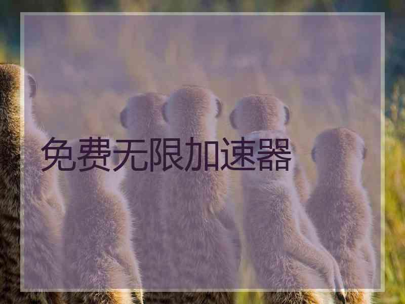 免费无限加速器