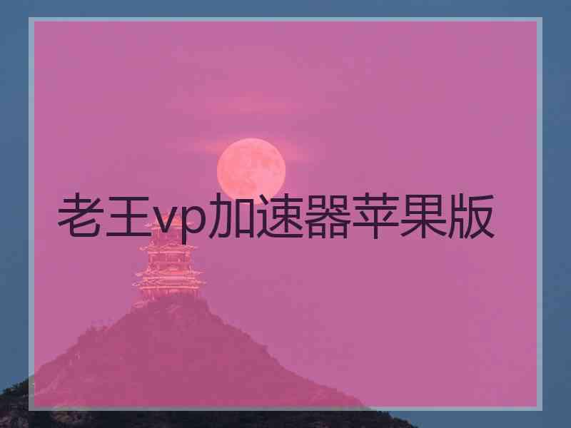 老王vp加速器苹果版