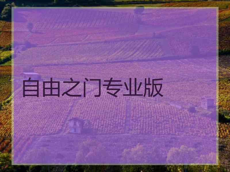 自由之门专业版
