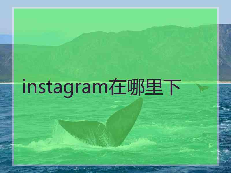 instagram在哪里下