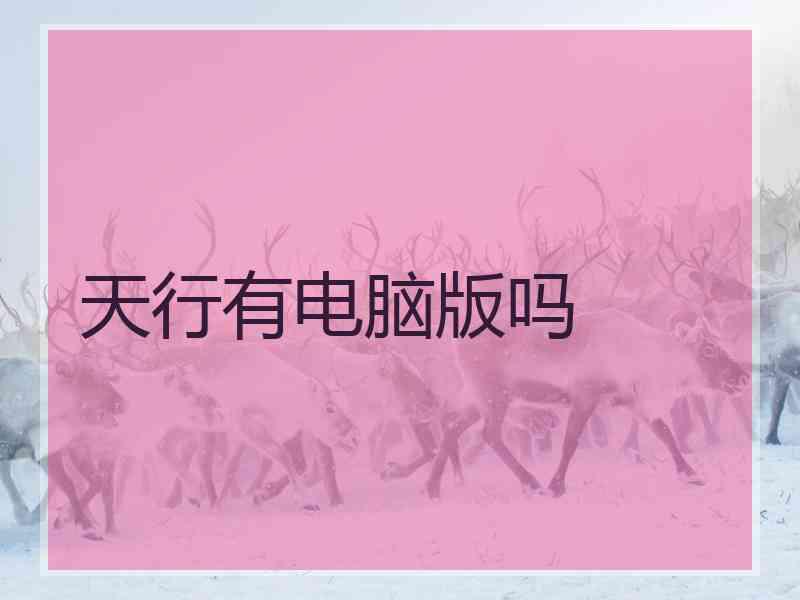 天行有电脑版吗