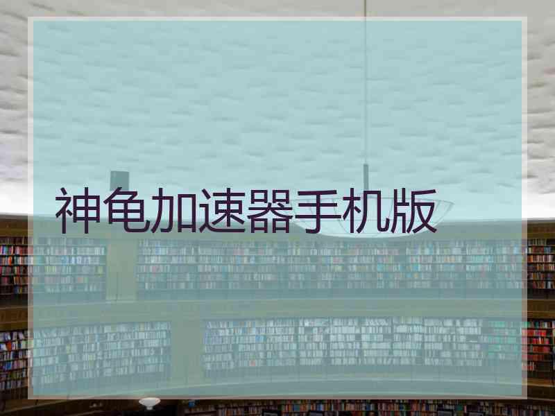 神龟加速器手机版