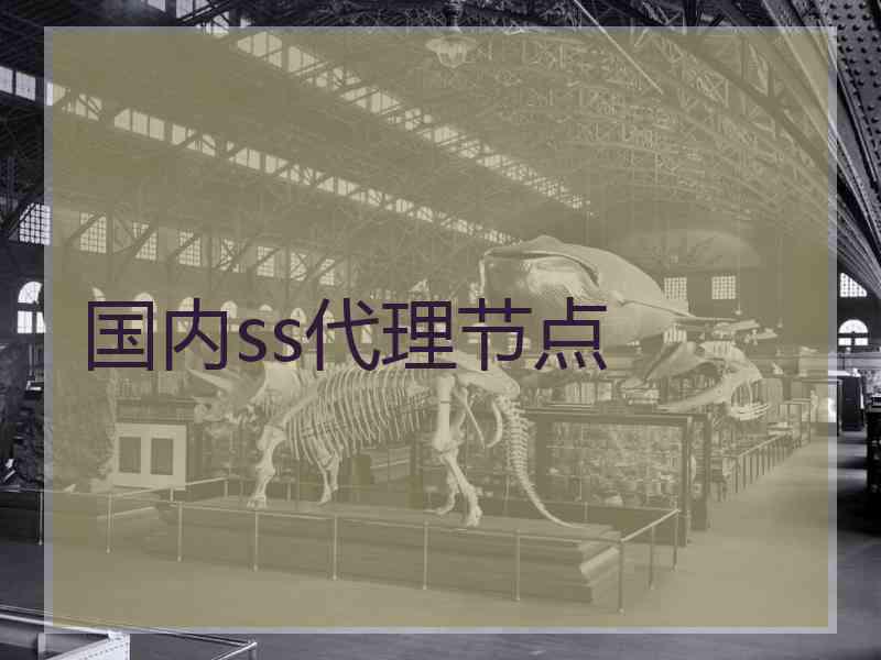 国内ss代理节点