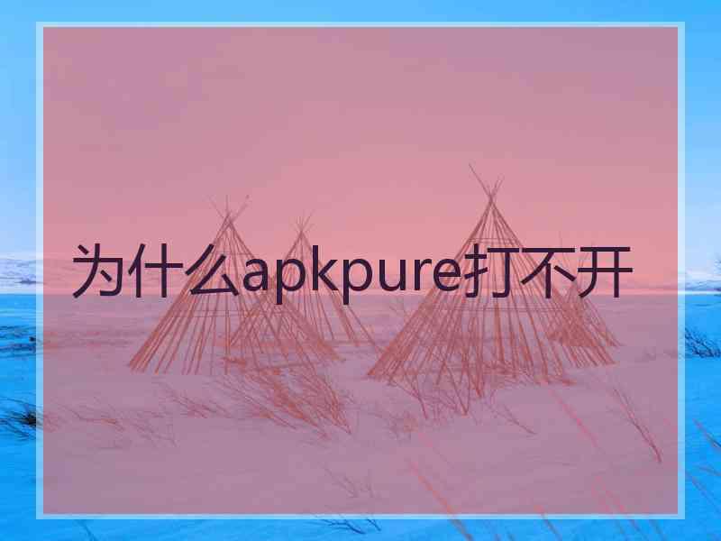 为什么apkpure打不开