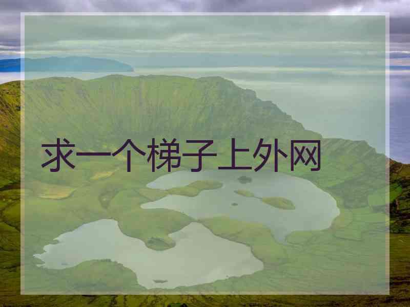 求一个梯子上外网