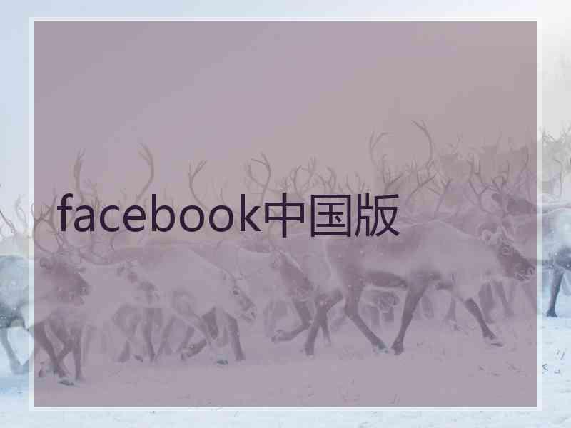 facebook中国版