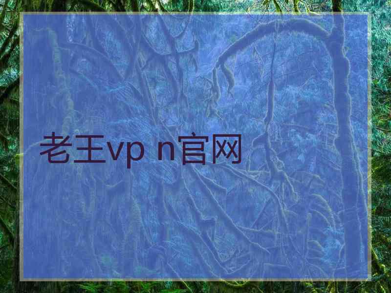 老王vp n官网