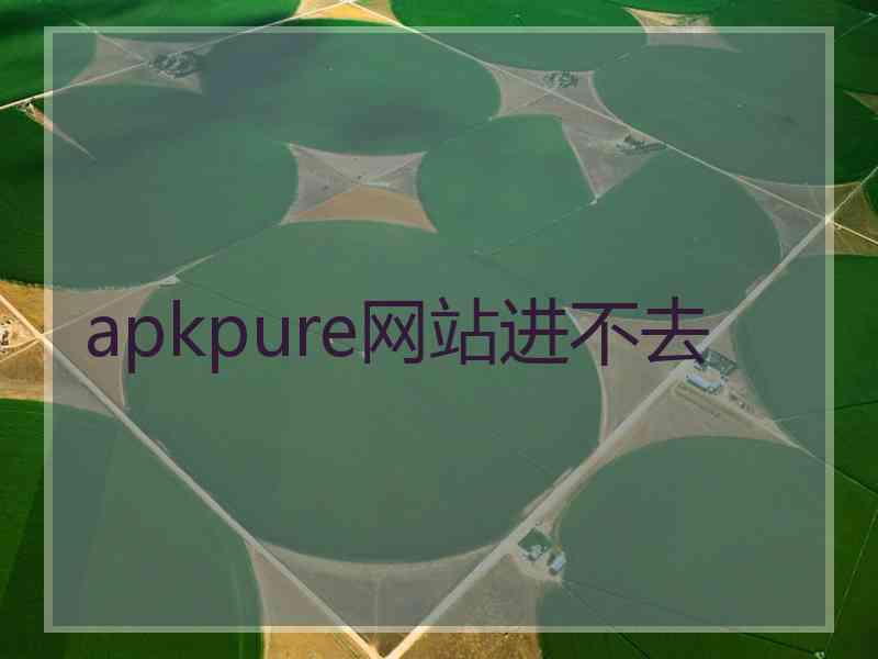apkpure网站进不去