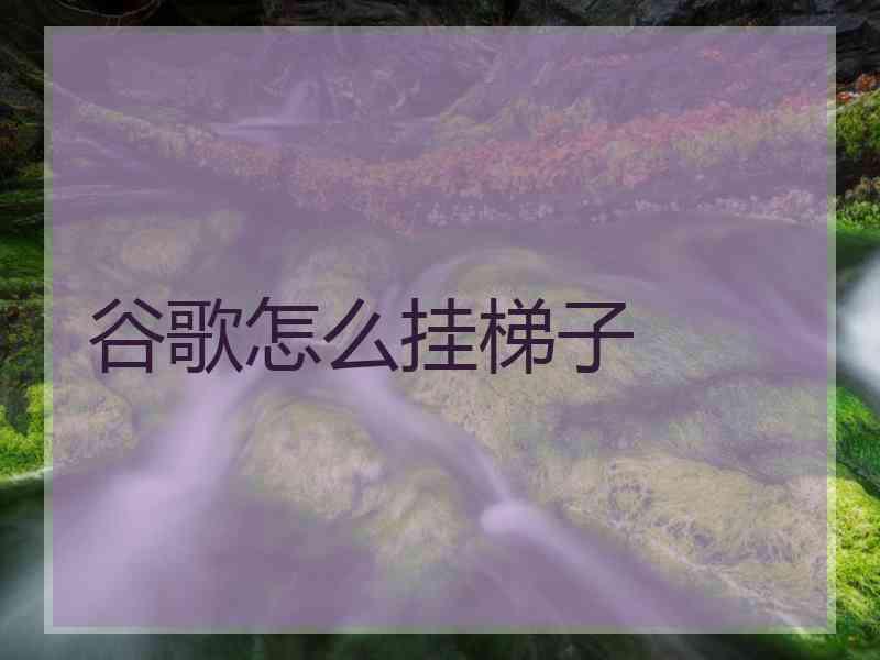 谷歌怎么挂梯子