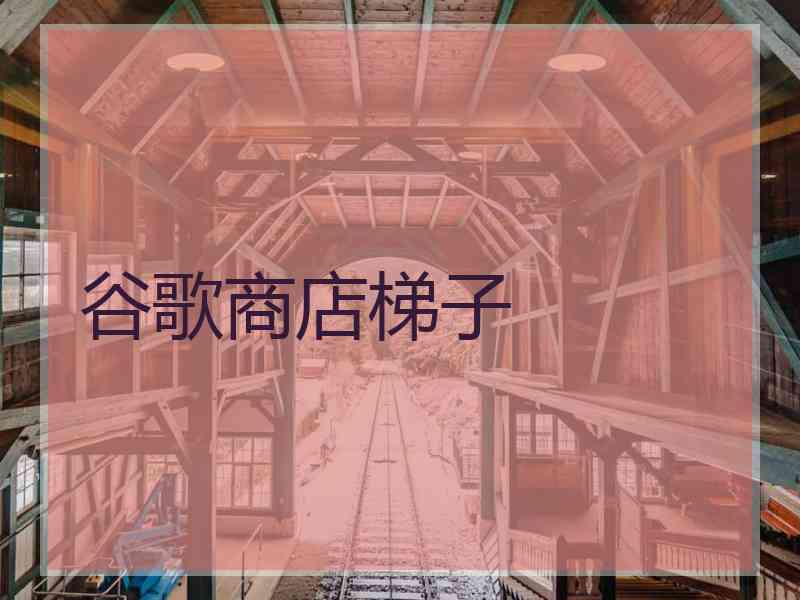 谷歌商店梯子