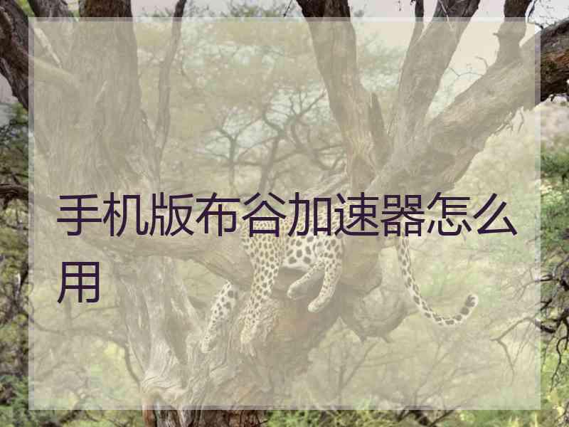 手机版布谷加速器怎么用
