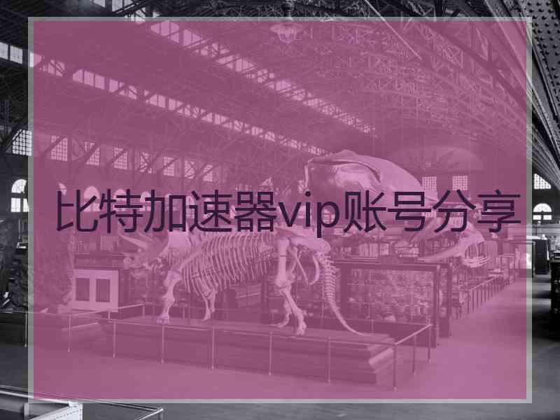比特加速器vip账号分享