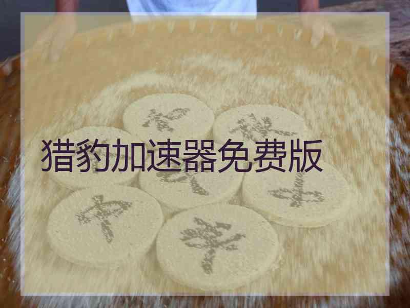 猎豹加速器免费版