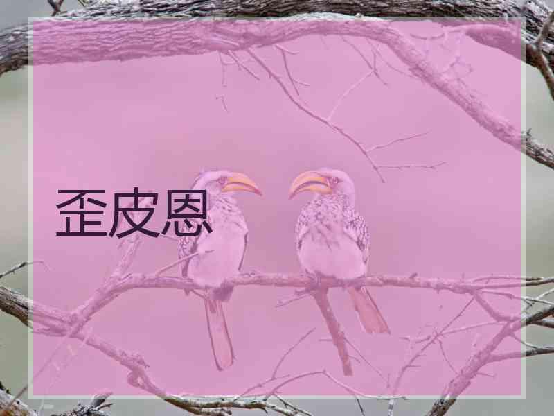 歪皮恩