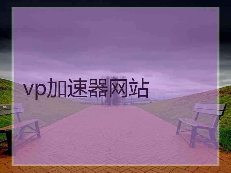 vp加速器网站