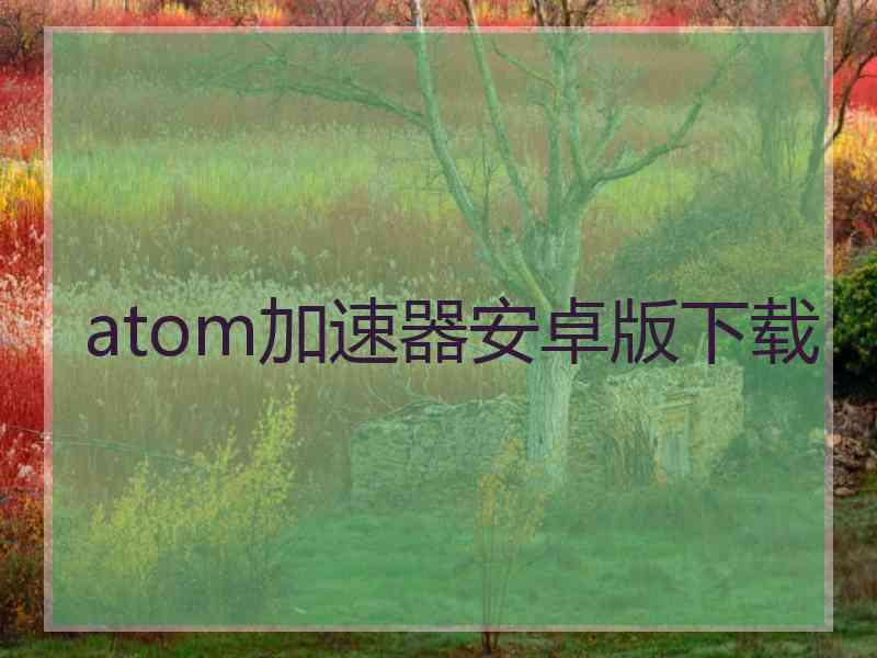 atom加速器安卓版下载