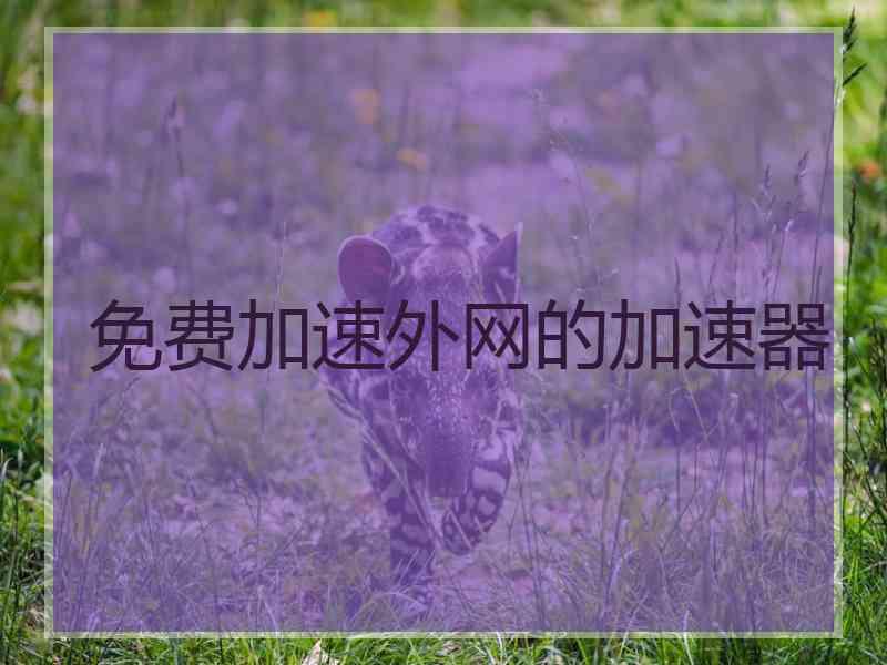 免费加速外网的加速器