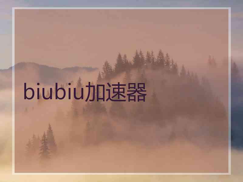 biubiu加速器