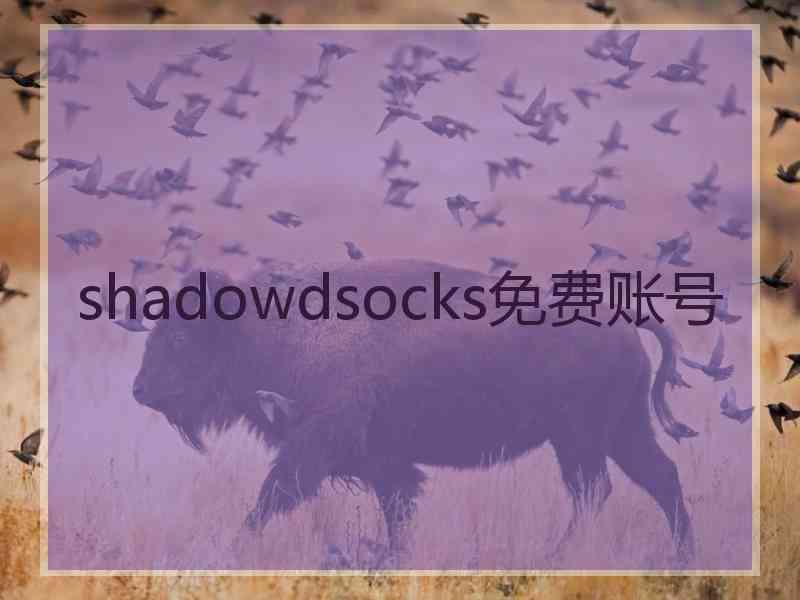 shadowdsocks免费账号