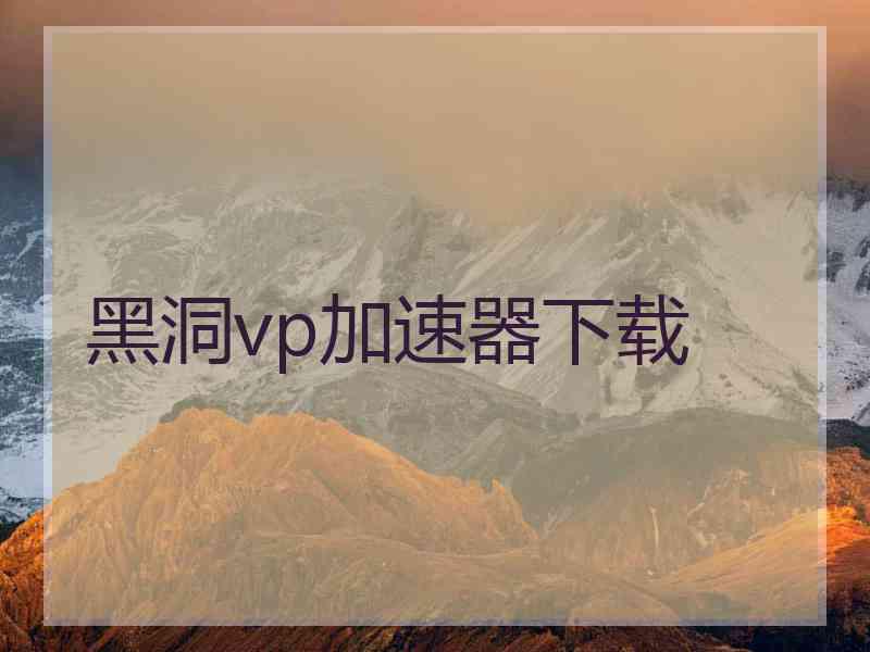 黑洞vp加速器下载