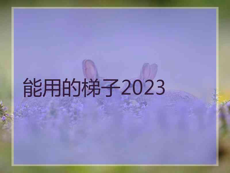 能用的梯子2023