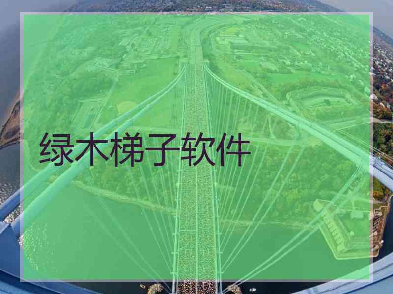 绿木梯子软件