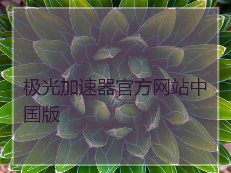 极光加速器官方网站中国版