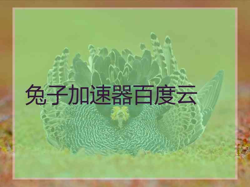 兔子加速器百度云