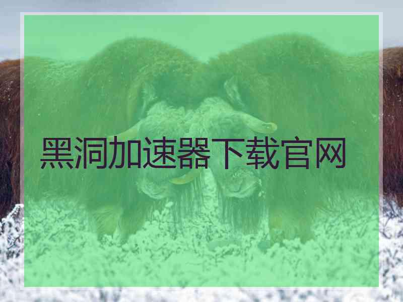 黑洞加速器下载官网
