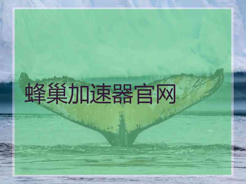 蜂巢加速器官网