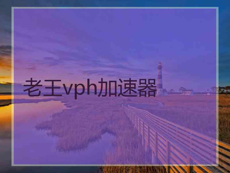 老王vph加速器