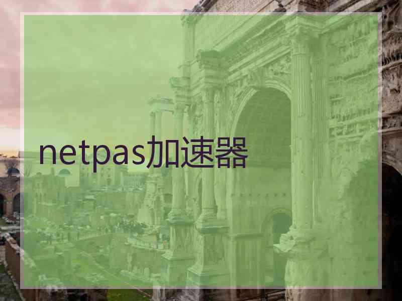 netpas加速器