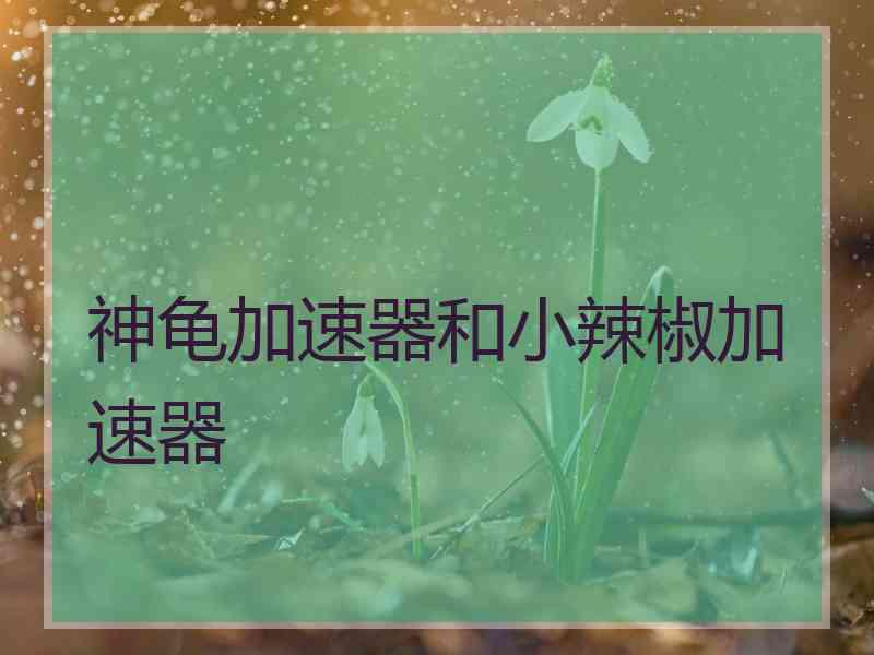 神龟加速器和小辣椒加速器