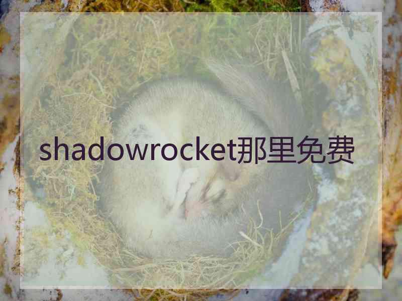 shadowrocket那里免费