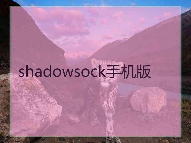 shadowsock手机版