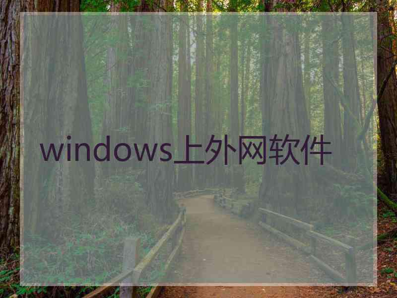 windows上外网软件