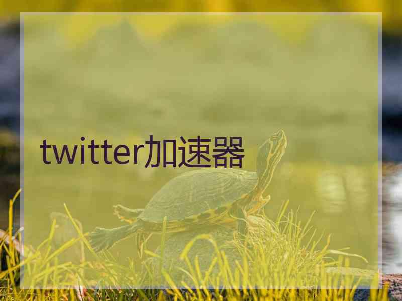twitter加速器