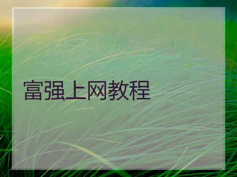 富强上网教程