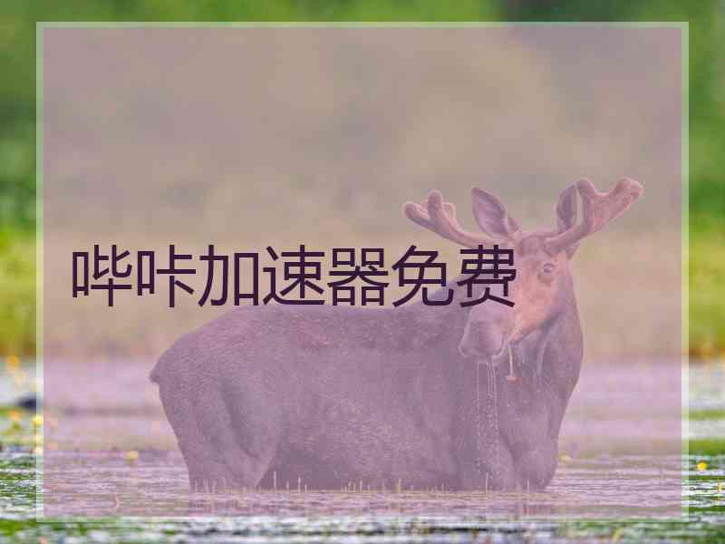 哔咔加速器免费