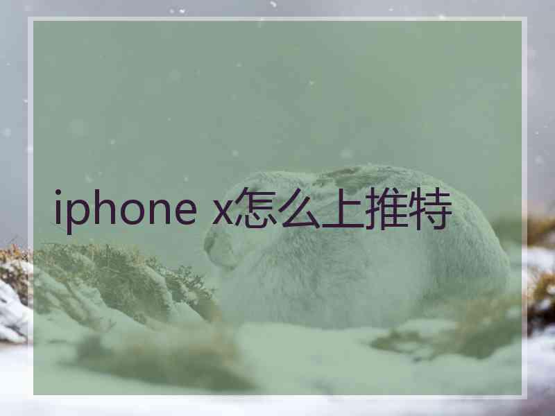iphone x怎么上推特