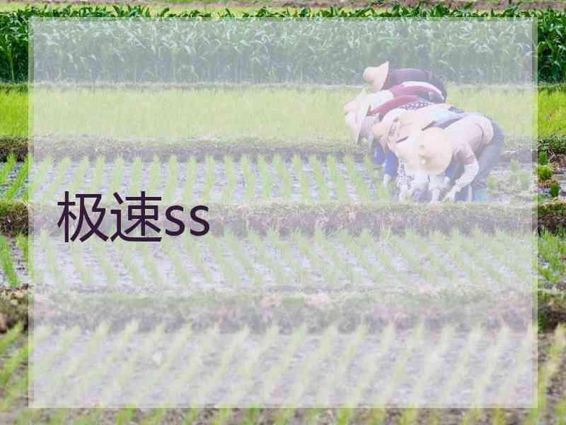 极速ss