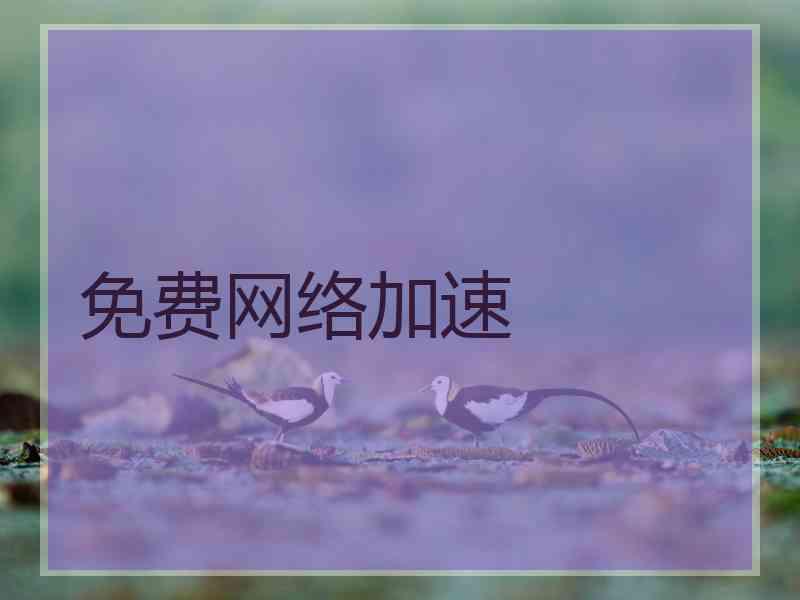 免费网络加速