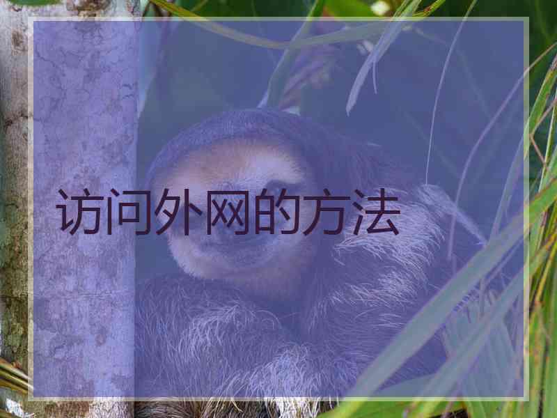 访问外网的方法